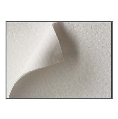 Flexible sheet for waterproofing - RENOLIT ALKORPLAN F Bright / Cool